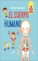 Cuerpo humano: 10 pop ups