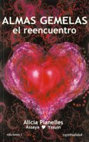 Almas gemelas, el reencuentro (Spanish Edition)