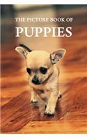 The Picture Book of Puppies