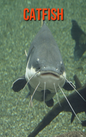 Catfish: Amazing Facts about Catfish