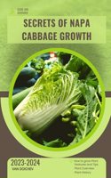 Secrets of Napa Cabbage Growth