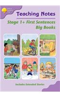 Biff, Chip and Kipper Level 1+ First Words Big Book Teaching Notes