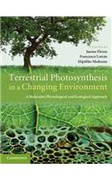 Terrestrial Photosynthesis in a Changing Environment