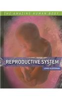 Reproductive System: (Amazing Human Body)