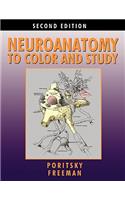 Neuroanatomy to Color and Study