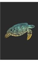 Turtle Colors