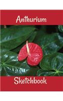 Anthurium Sketchbook