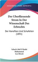 Der Uberfliessende Strom in Der Wissenschaft Des Erbrechts