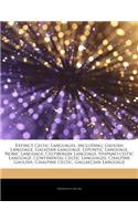 Articles on Extinct Celtic Languages, Including