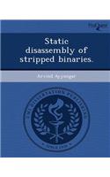 Static Disassembly of Stripped Binaries