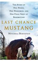 Last Chance Mustang