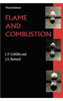 Flame and Combustion