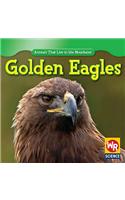 Golden Eagles