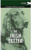 The Irish Setter - A Complete Anthology of the Dog: (English)