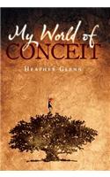 My World of Conceit