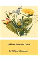 Field and Woodland Plants