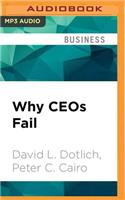 Why Ceos Fail