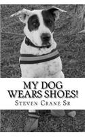 My dog wears shoes!