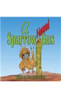 Sparrow Named Gus