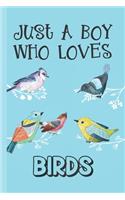 Just A Boy Who Loves Birds