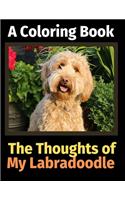 The Thoughts of My Labradoodle