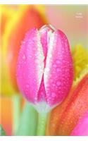 Tulip Notes: Wide Ruled, Blank Notebook, Pocket Size, Glossy Cover Design on Front and Back, 6 X 9 Inches