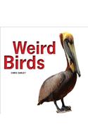 Weird Birds