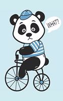 Cycling Panda