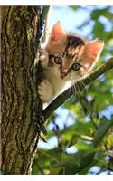 Curious Little Kitten Up in a Tree Journal: 150 Page Lined Notebook/Diary