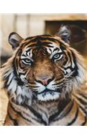 Tiger Notebook