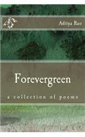 Forevergreen