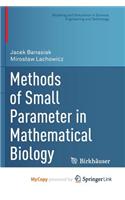 Methods of Small Parameter in Mathematical Biology
