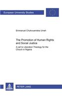 The Promotion of Human Rights and Social Justice