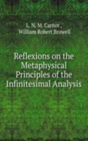 Reflexions on the Metaphysical Principles of the Infinitesimal Analysis