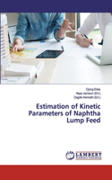 Estimation of Kinetic Parameters of Naphtha Lump Feed