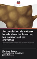 Accumulation de métaux lourds dans les insectes, les poissons et les crevettes