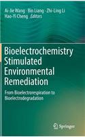 Bioelectrochemistry Stimulated Environmental Remediation