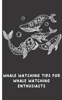 Whale Watching Tips for Whale Watching Enthusiasts