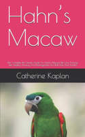 Hahn's Macaw