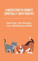 Meditation To Connect Spiritually With Your Pet