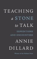 Teaching a Stone to Talk