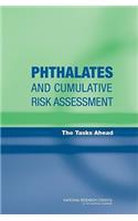 Phthalates and Cumulative Risk Assessment