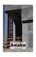 Awake