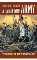 Gallant Little Army: The Mexico City Campaign