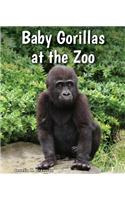 Baby Gorillas at the Zoo