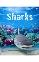 Sharks: (Usborne Discovery (Usborne Hardcover))