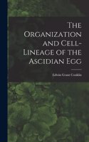 Organization and Cell-lineage of the Ascidian Egg