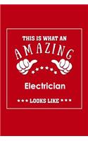 This is What an Amazing Electrician Look Like: Appreciation Gift Journal for Employee, Coworker or Boss