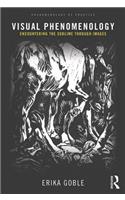 Visual Phenomenology