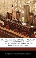 Natural Gas and Electricity Markets: Federal Government Actions to Improve Private Price Indices and Stakeholder Reaction(English)